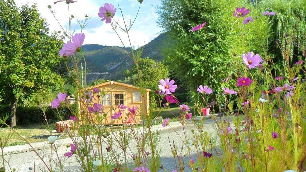 camping fleurs — Camping Panoramique du Verdon